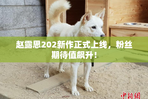赵露思202新作正式上线，粉丝期待值飙升！