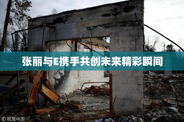 张丽与E携手共创未来精彩瞬间