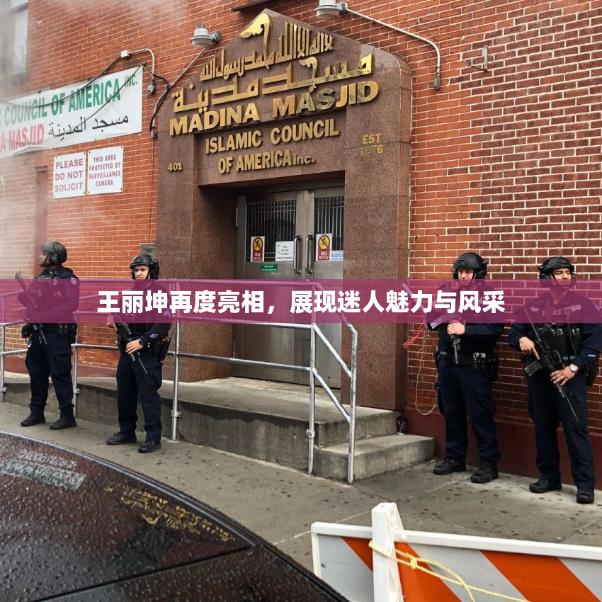 王丽坤再度亮相，展现迷人魅力与风采