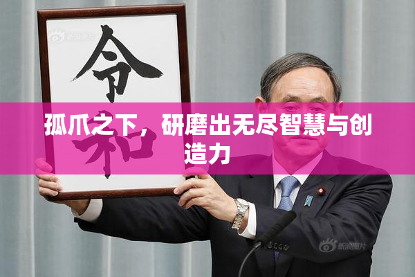 孤爪之下，研磨出无尽智慧与创造力