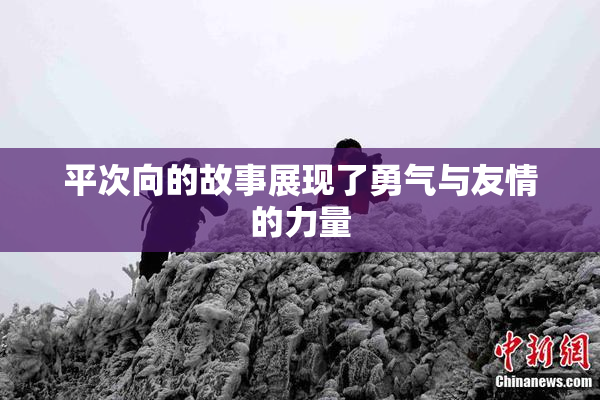 平次向的故事展现了勇气与友情的力量