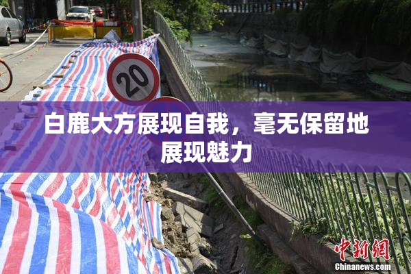 白鹿大方展现自我，毫无保留地展现魅力