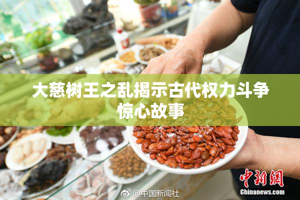 大慈树王之乱揭示古代权力斗争惊心故事