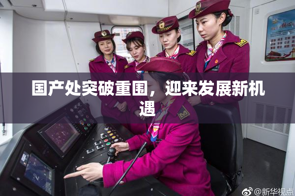 国产处突破重围，迎来发展新机遇