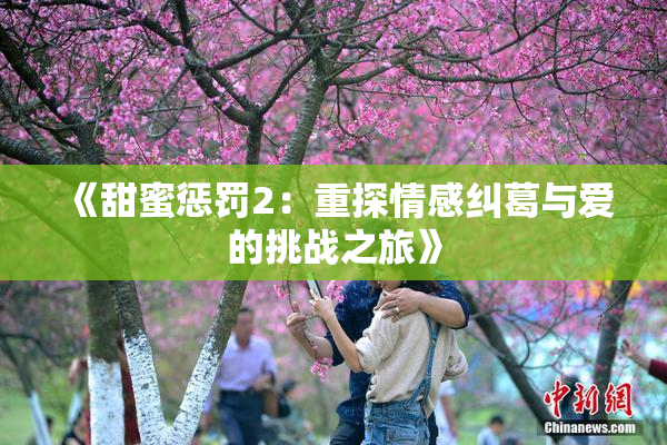 《甜蜜惩罚2：重探情感纠葛与爱的挑战之旅》