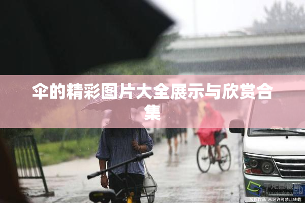 伞的精彩图片大全展示与欣赏合集