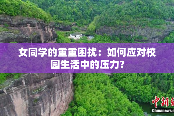 女同学的重重困扰：如何应对校园生活中的压力？
