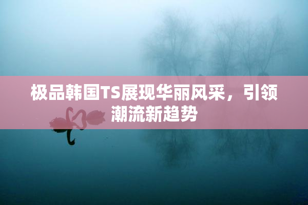 极品韩国TS展现华丽风采，引领潮流新趋势