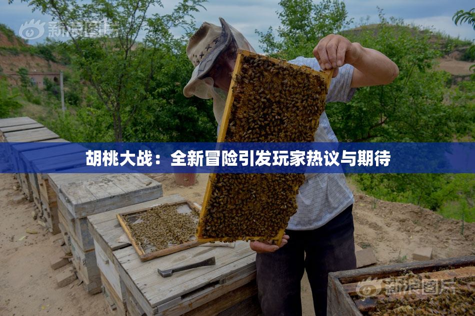 胡桃大战：全新冒险引发玩家热议与期待