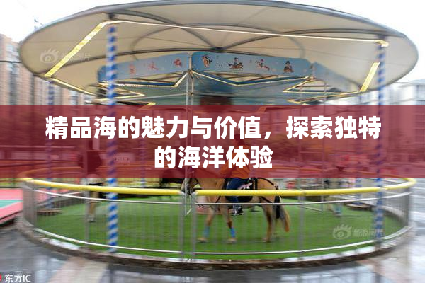 精品海的魅力与价值，探索独特的海洋体验
