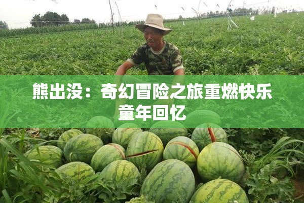 熊出没：奇幻冒险之旅重燃快乐童年回忆