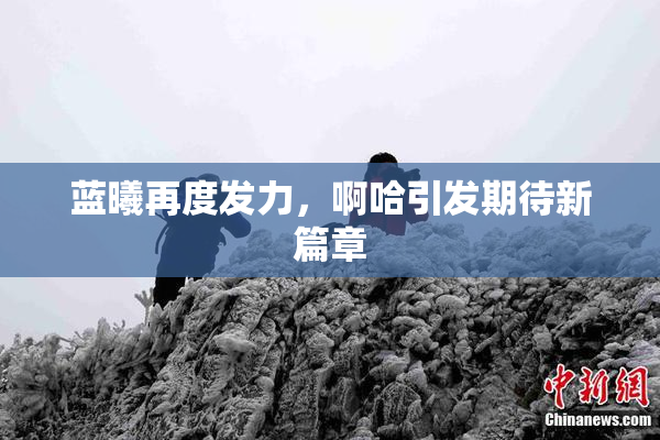 蓝曦再度发力，啊哈引发期待新篇章