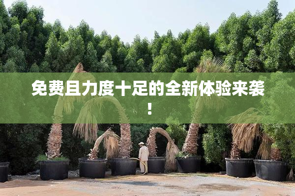 免费且力度十足的全新体验来袭！