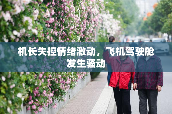 机长失控情绪激动，飞机驾驶舱发生骚动
