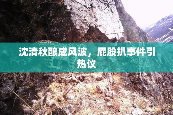 沈清秋酿成风波，屁股扒事件引热议