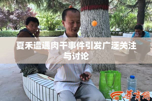 夏禾遭遇肉干事件引发广泛关注与讨论