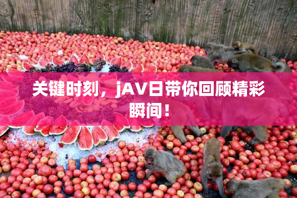 关键时刻，jA∨日带你回顾精彩瞬间！