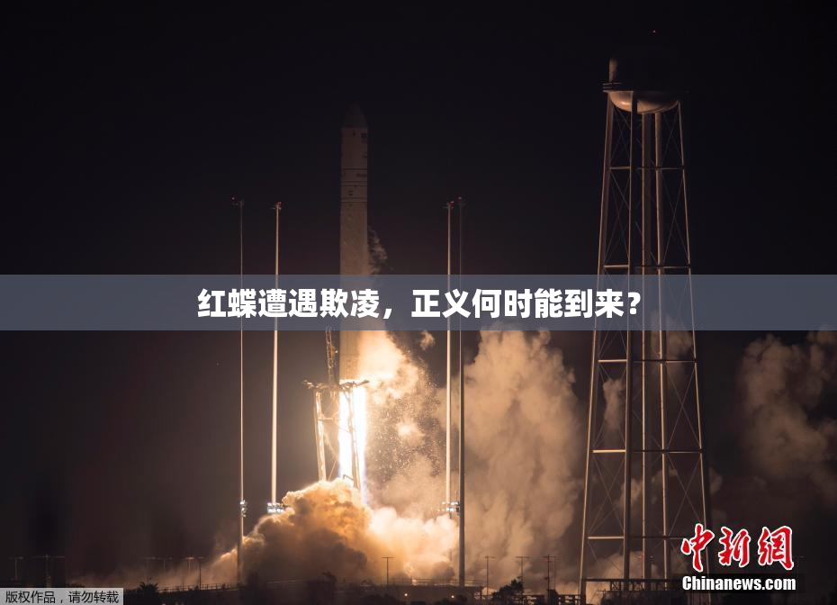 红蝶遭遇欺凌，正义何时能到来？