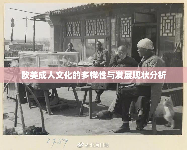欧美成人文化的多样性与发展现状分析