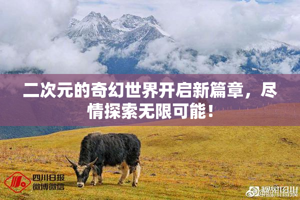 二次元的奇幻世界开启新篇章，尽情探索无限可能！