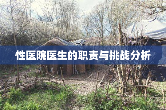 性医院医生的职责与挑战分析