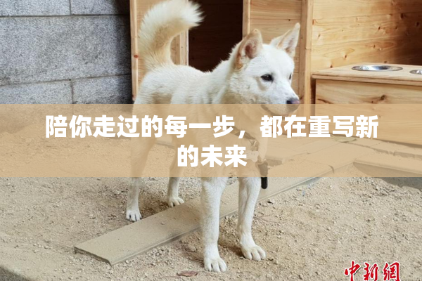 陪你走过的每一步，都在重写新的未来