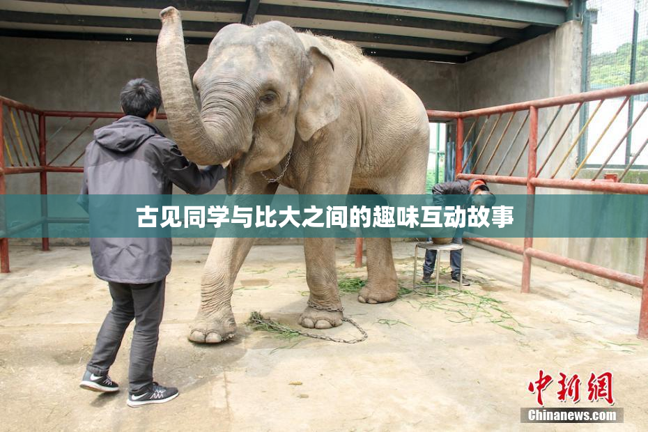 古见同学与比大之间的趣味互动故事