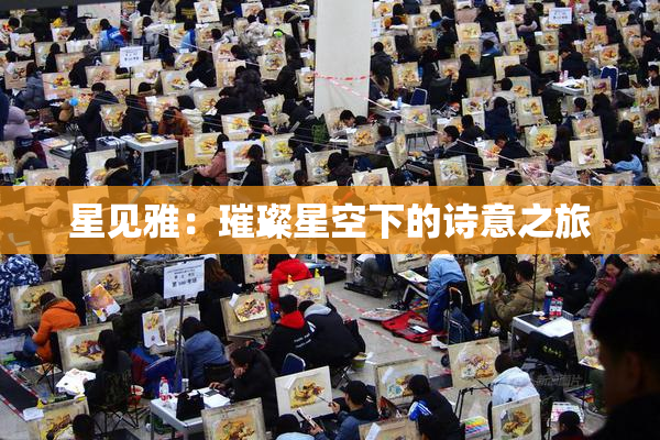 星见雅：璀璨星空下的诗意之旅