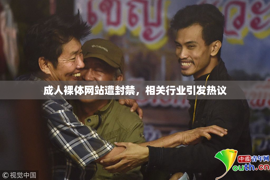 成人裸体网站遭封禁，相关行业引发热议