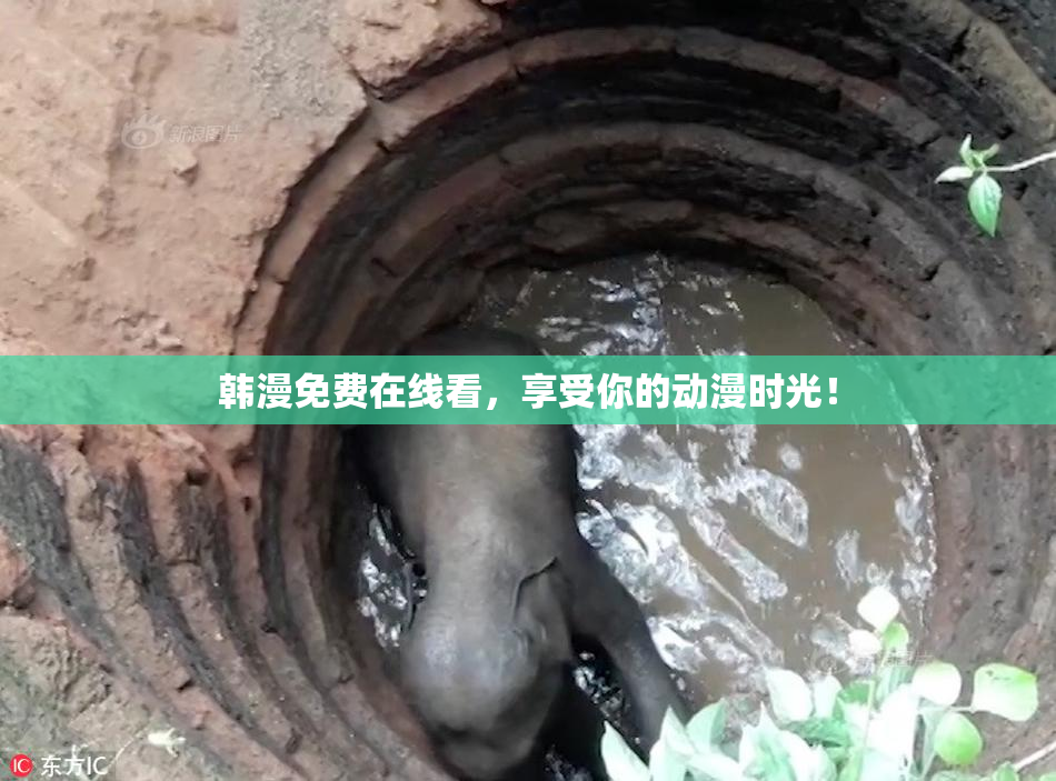 韩漫免费在线看，享受你的动漫时光！