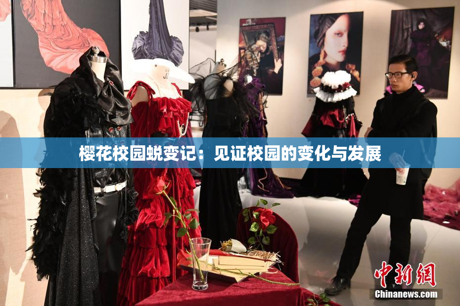 樱花校园蜕变记：见证校园的变化与发展
