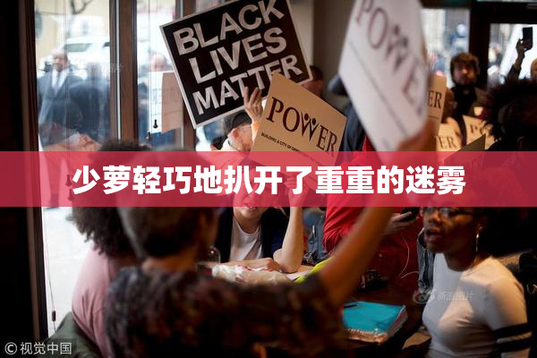 少萝轻巧地扒开了重重的迷雾