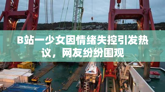 B站一少女因情绪失控引发热议，网友纷纷围观
