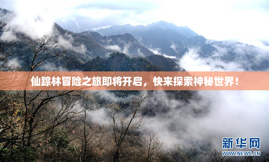 仙踪林冒险之旅即将开启，快来探索神秘世界！
