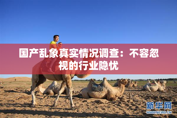 国产乱象真实情况调查：不容忽视的行业隐忧