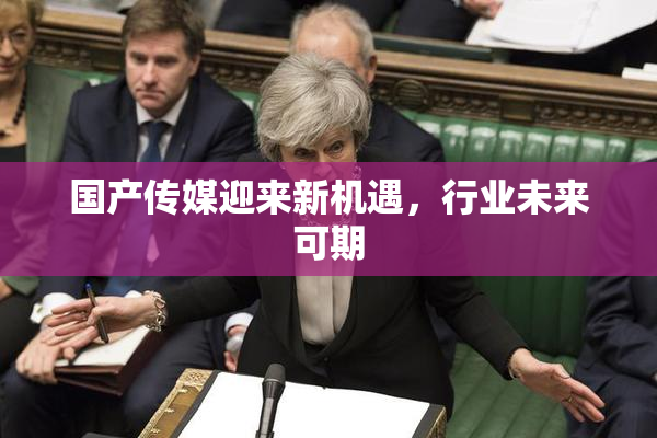 国产传媒迎来新机遇，行业未来可期