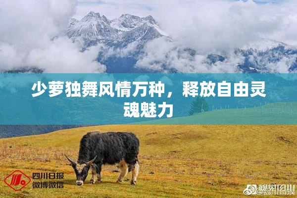 少萝独舞风情万种，释放自由灵魂魅力