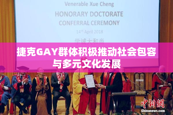 捷克GAY群体积极推动社会包容与多元文化发展