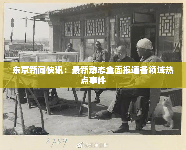 东京新闻快讯：最新动态全面报道各领域热点事件