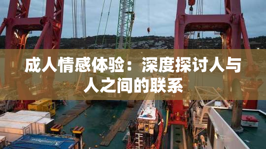 成人情感体验：深度探讨人与人之间的联系