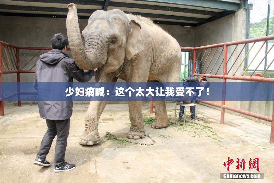 少妇痛喊：这个太大让我受不了！