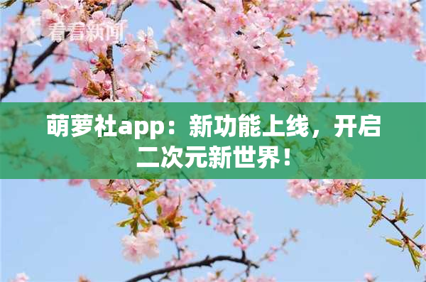 萌萝社app：新功能上线，开启二次元新世界！