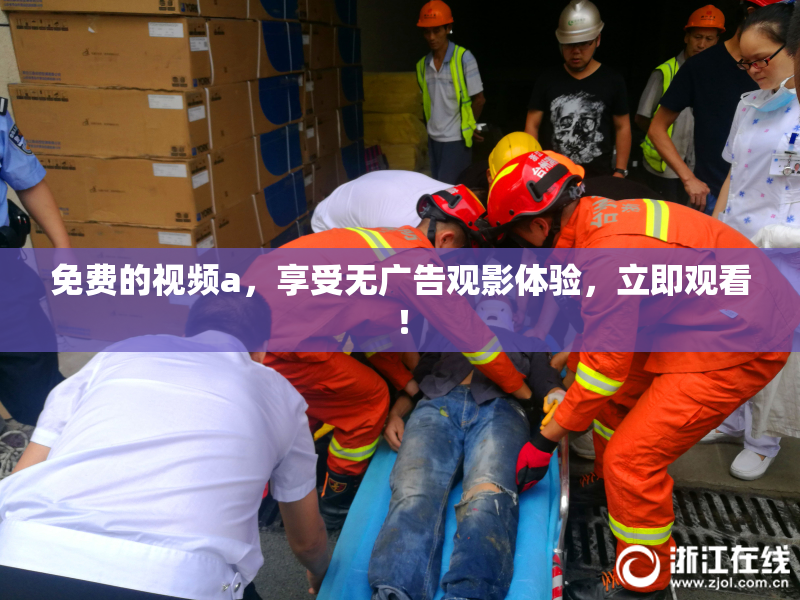 免费的视频a，享受无广告观影体验，立即观看！