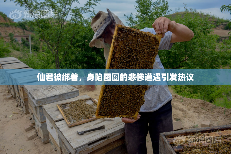 仙君被绑着，身陷囹圄的悲惨遭遇引发热议