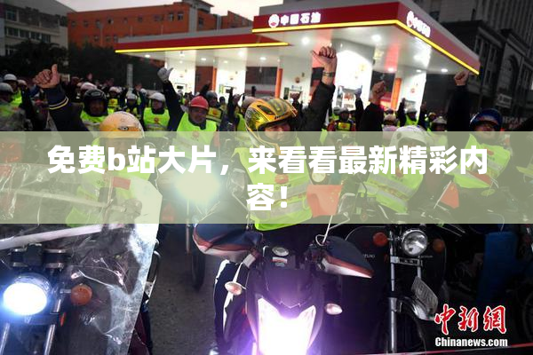 免费b站大片，来看看最新精彩内容！