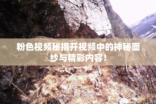 粉色视频秘揭开视频中的神秘面纱与精彩内容！