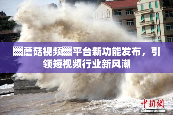 ▓蘑菇视频▓平台新功能发布，引领短视频行业新风潮