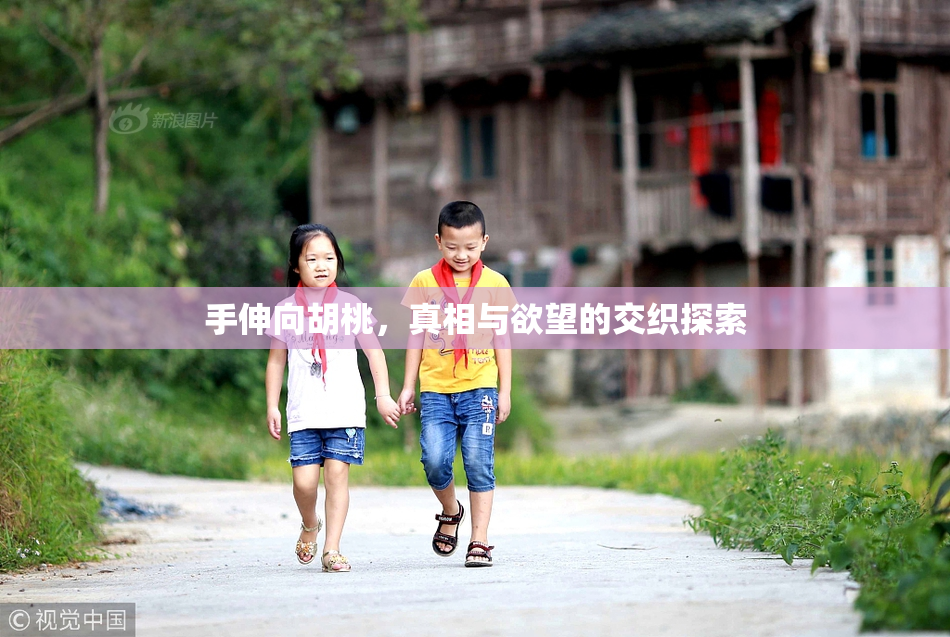 手伸向胡桃，真相与欲望的交织探索