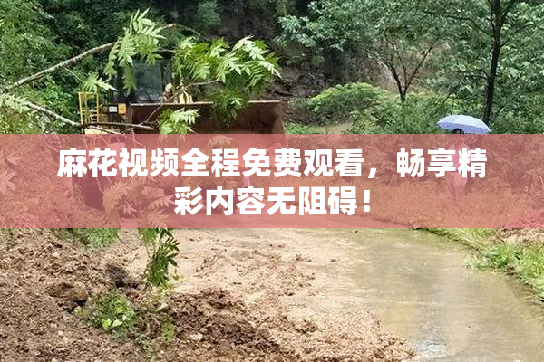 麻花视频全程免费观看，畅享精彩内容无阻碍！
