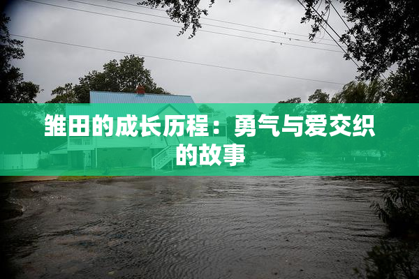 雏田的成长历程：勇气与爱交织的故事